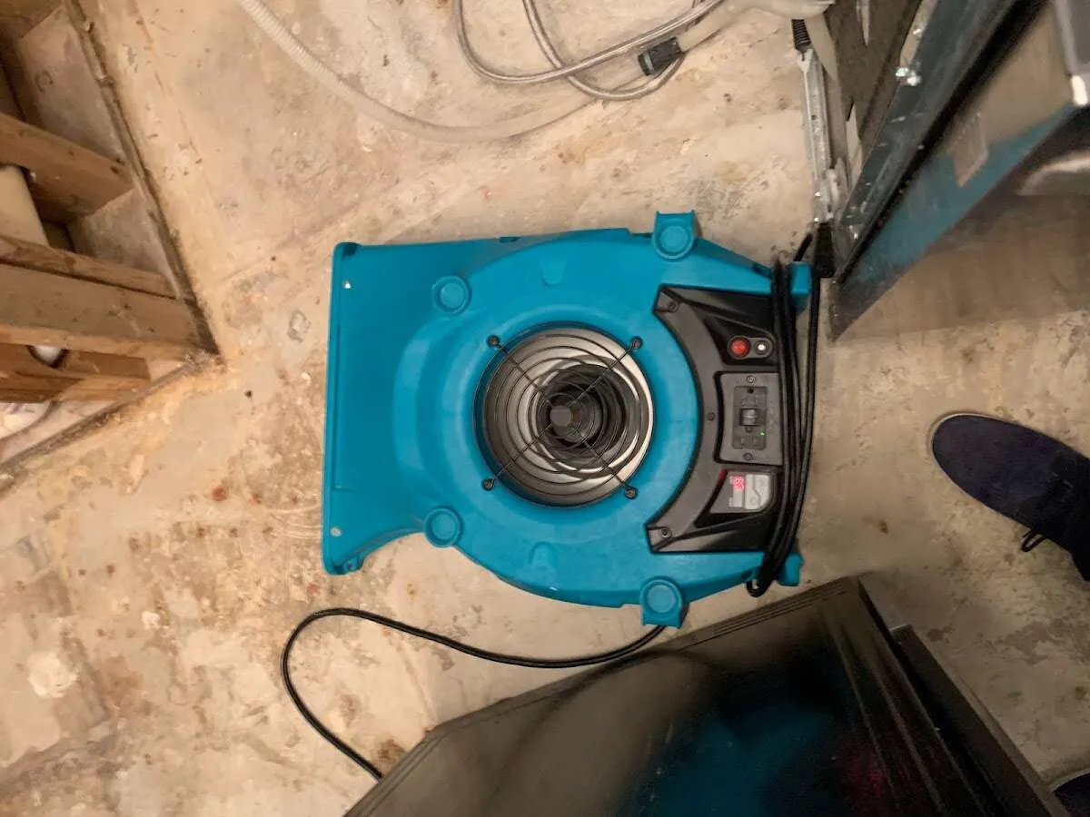 Air mover drying equipment for Mold Remediation & Removal in Henderson